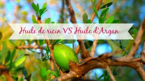 huile de ricin huile d'argan header
