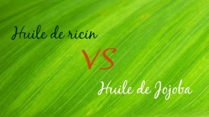 huile de ricin huile de jojoba