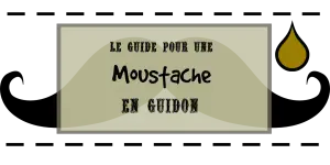 moustache en guidon header