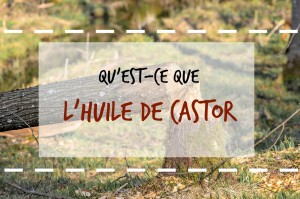 quest-ce-que-lhuile-de-castor-header