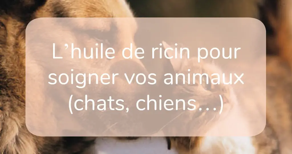 L’huile de ricin pour soigner vos animaux (chats, chiens L’huile de ricin pour soigner vos animaux (chats, chiens