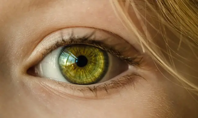 huile de ricin mascara
