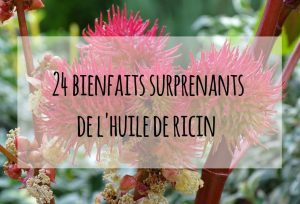 huile de ricin bienfait