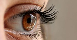 huile de ricin cils